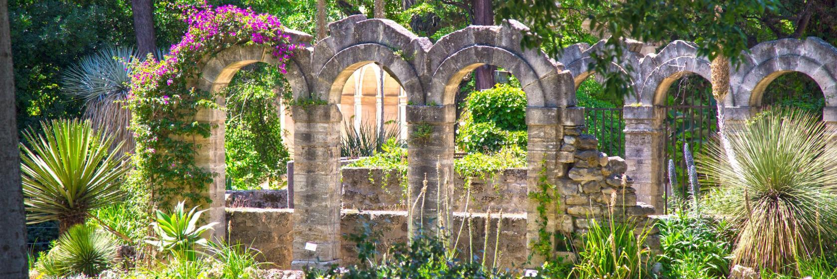 Montpellier Botanical Garden